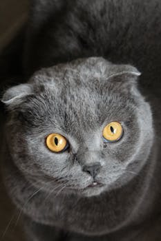 [理论观察]推动数字赋能高校人才培养质量提升 新闻