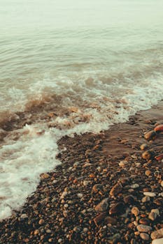 超级杯-国安2-0海港夺冠 达万曹永竞建功武磊复出 新闻
