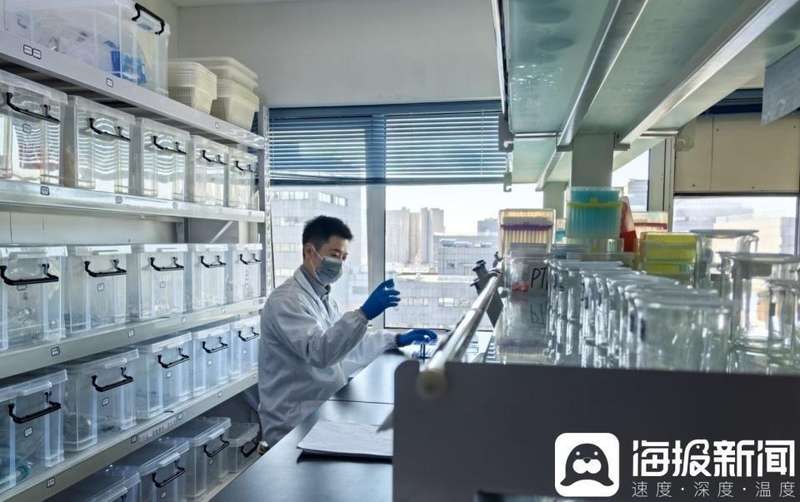  隐秘添加物曝光，网红食品暗藏风险；消费者警惕保健骗局。 健康养生 隐秘添加物曝光，网红食品暗藏风险；消费者警惕保健骗局。 健康养生