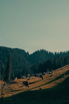 清除资本市场拦路虎;证监会纪检监察工作部署详解。 股票财经 清除资本市场拦路虎;证监会纪检监察工作部署详解。 股票财经 清除资本市场拦路虎;证监会纪检监察工作部署详解。 股票财经