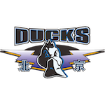 家庭优先,杰曼因妻子突患疾病;紧急返京照顾妻儿,缺席京辽焦点战 体育新闻