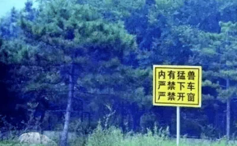 安全规则的技术边界:八达岭野生动物园事件的系统失效深度复盘 新闻