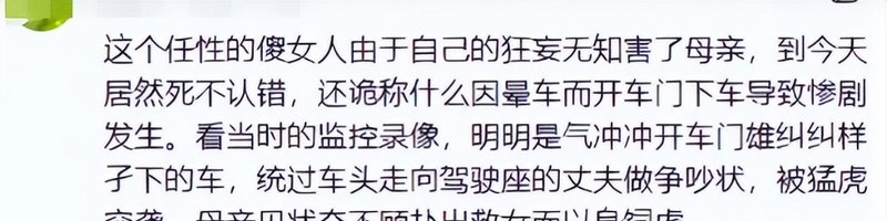 安全规则的技术边界:八达岭野生动物园事件的系统失效深度复盘 新闻