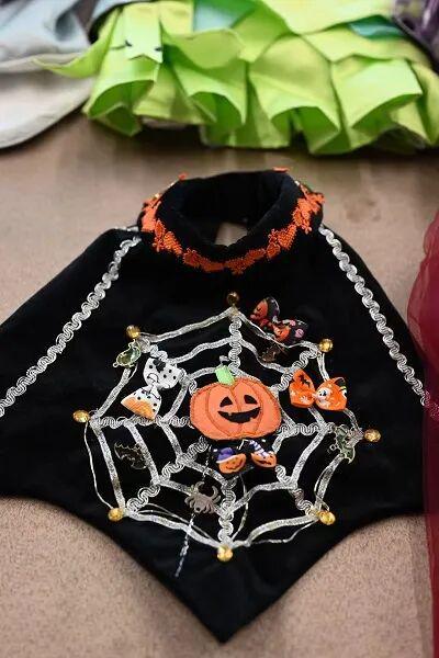  从外婆的针线活到宠物高定：一位78岁上海奶奶的技术突围 时尚用品