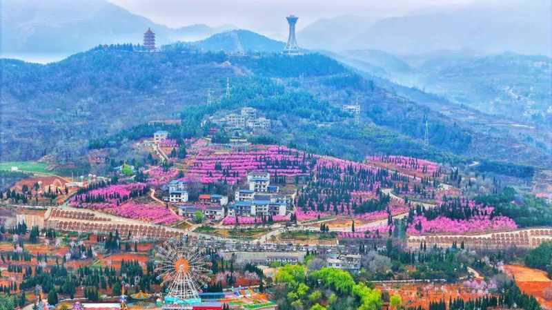  从秦岭花海看文旅转化：一场关于「颜值经济」的深度技术解构 文化旅游