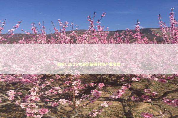 MWC2026古语新解看科技产业变局 MWC2026古语新解看科技产业变局 新闻