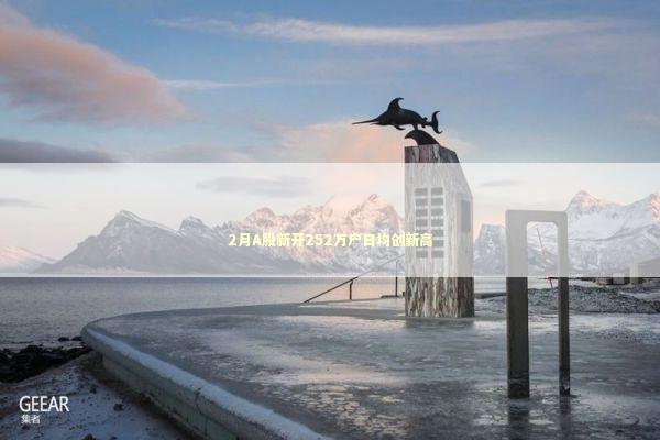 2月A股新开252万户日均创新高 新闻