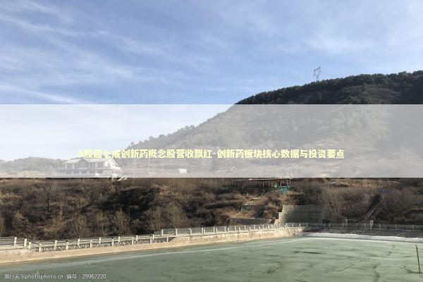 A股超七成创新药概念股营收飘红-创新药板块核心数据与投资要点 新闻