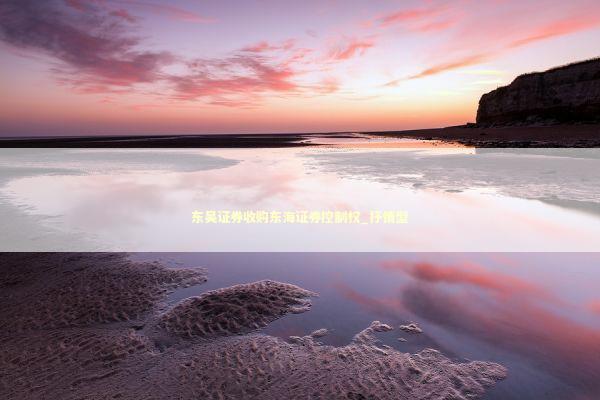 东吴证券收购东海证券控制权_抒情型