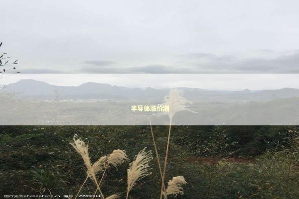 半导体涨价潮 新闻