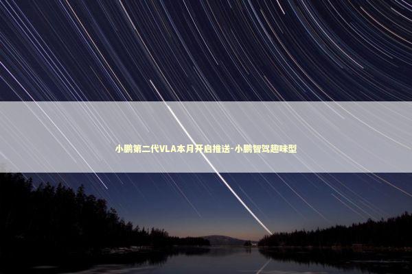 小鹏第二代VLA本月开启推送-小鹏智驾趣味型 新闻