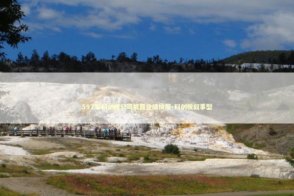 597家科创板公司披露业绩快报-科创板叙事型 597家科创板公司披露业绩快报-科创板叙事型 新闻