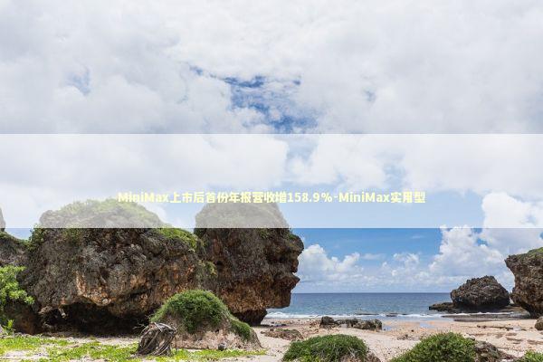 MiniMax上市后首份年报营收增158.9%-MiniMax实用型 新闻