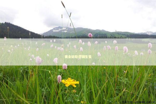 黄金避险逻辑生变 新闻