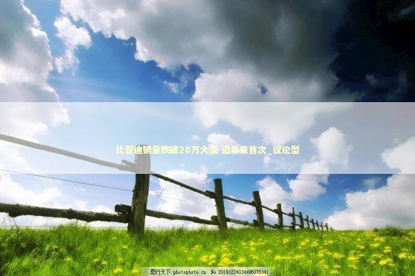 比亚迪销量跌破20万大关 近年来首次_议论型 比亚迪销量跌破20万大关 近年来首次_议论型 新闻