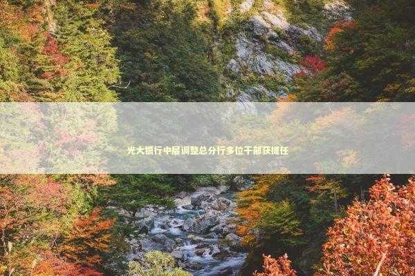 光大银行中层调整总分行多位干部获提任 新闻