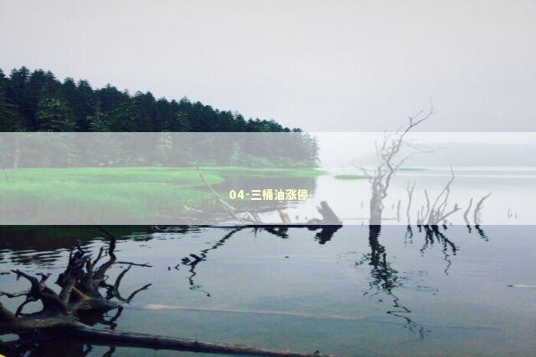 04-三桶油涨停 04-三桶油涨停 新闻