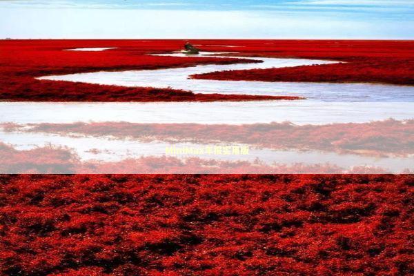 MiniMax年报实用版 新闻