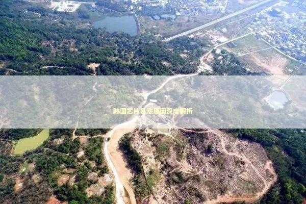 韩国芯片暴涨原因深度解析 新闻