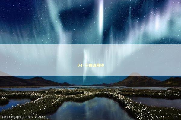 04-三桶油涨停 04-三桶油涨停 新闻