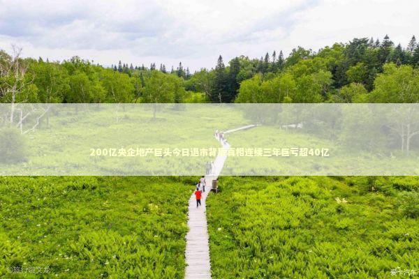 200亿央企地产巨头今日退市背后真相连续三年巨亏超40亿 新闻