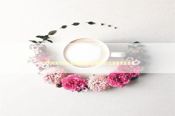 审计机构突然辞任致股价暴跌 仕净科技7亿资金紧急出逃 新闻