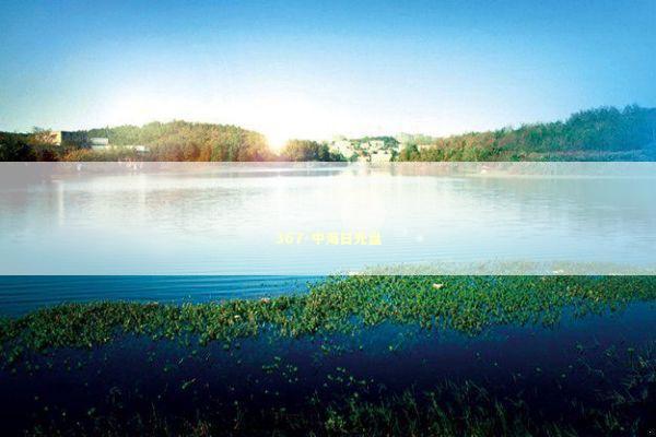 367-中海日光盘 新闻