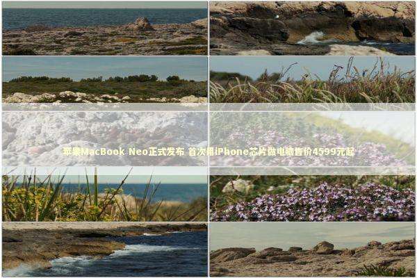 苹果MacBook Neo正式发布 首次用iPhone芯片做电脑售价4599元起 苹果MacBook Neo正式发布 首次用iPhone芯片做电脑售价4599元起 新闻