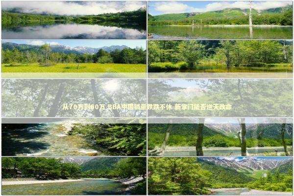 从70万到60万 BBA中国销量跌跌不休 新掌门能否逆天改命 新闻