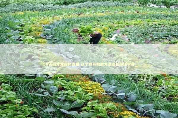 50天后才发现的真相 这个春节救命方法家长必须学会 新闻