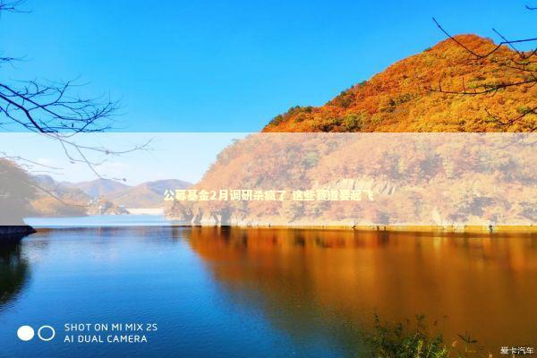 公募基金2月调研杀疯了 这些赛道要起飞 公募基金2月调研杀疯了 这些赛道要起飞 新闻