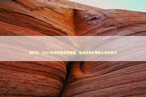 郑钦文:2024年手肘就出现疼痛,奥运会等比赛靠止疼药坚持 郑钦文:2024年手肘就出现疼痛,奥运会等比赛靠止疼药坚持 新闻