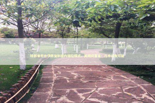 特朗普想在伊朗复制委内瑞拉模式，其顾问直言：几乎没有可能 新闻