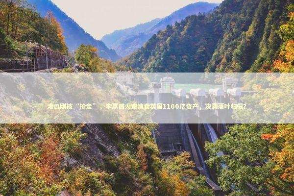 港口刚被“抢走”,李嘉诚火速清仓英国1100亿资产,决意落叶归根? 港口刚被“抢走”,李嘉诚火速清仓英国1100亿资产,决意落叶归根? 新闻