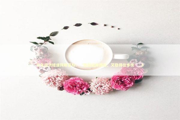 今年经济增速预期目标：“既跳起来摸高、又稳得住步伐”_3