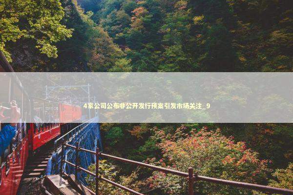 4家公司公布非公开发行预案引发市场关注_9 新闻