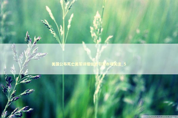 美国公布死亡美军详细信息引发市场关注_5 新闻