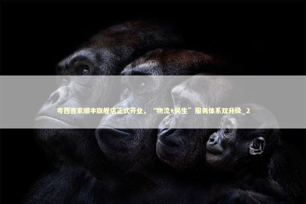 粤西首家顺丰旗舰店正式开业，“物流+民生”服务体系双升级_2 新闻