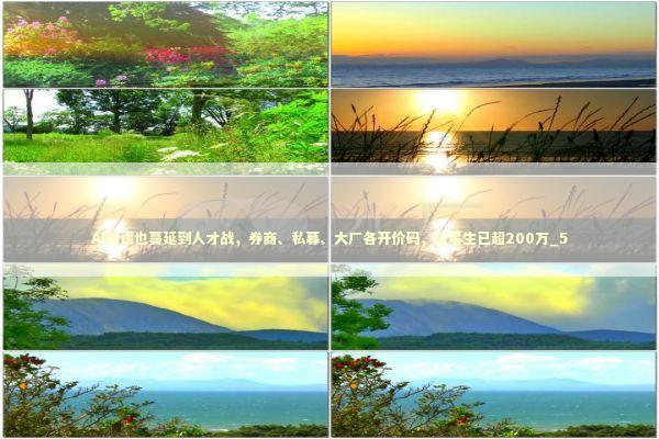 AI焦虑也蔓延到人才战，券商、私募、大厂各开价码，应届生已超200万_5 新闻