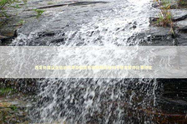 西足协提议在伯纳乌举办欧美杯遭阿根廷反对卡塔尔暂停比赛待定 新闻