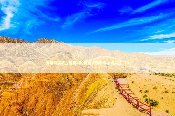 海泰发展被立案受损股民速索赔引发市场关注_10 新闻