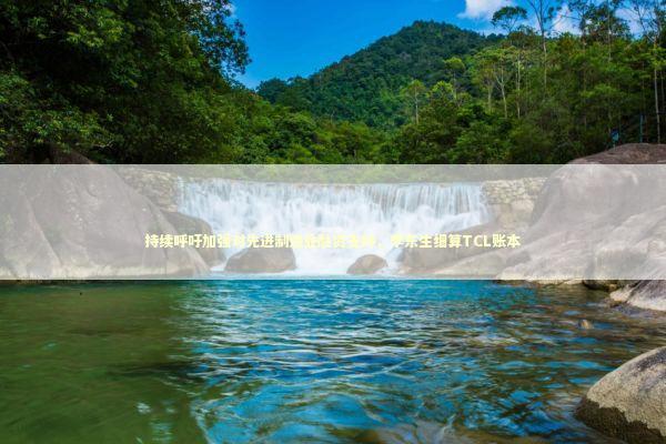 持续呼吁加强对先进制造业融资支持，李东生细算TCL账本