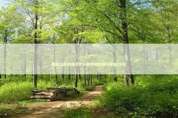 铁轨边的归途守护人林芳德和他守护的28年 新闻