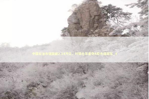 中国石油市值突破2.14万亿，时隔七年重夺A股市值冠军_4 新闻