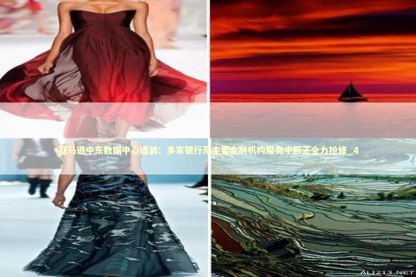 亚马逊中东数据中心遭袭：多家银行及主要金融机构服务中断正全力抢修_4