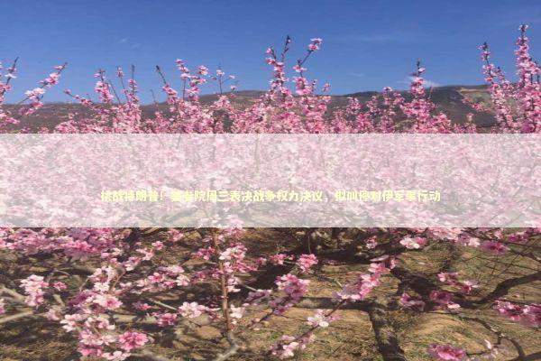 挑战特朗普!美参院周三表决战争权力决议,拟叫停对伊军事行动 挑战特朗普!美参院周三表决战争权力决议,拟叫停对伊军事行动 新闻