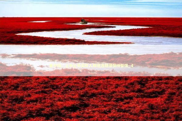 曹中铭:上市公司实控人频现违规须保持警惕_4 曹中铭:上市公司实控人频现违规须保持警惕_4 新闻