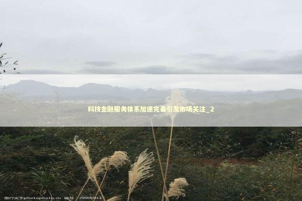 科技金融服务体系加速完善引发市场关注_2 新闻