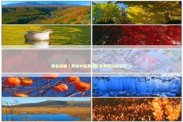 两会前瞻｜开放中国再进阶世界期待新信号_5 新闻