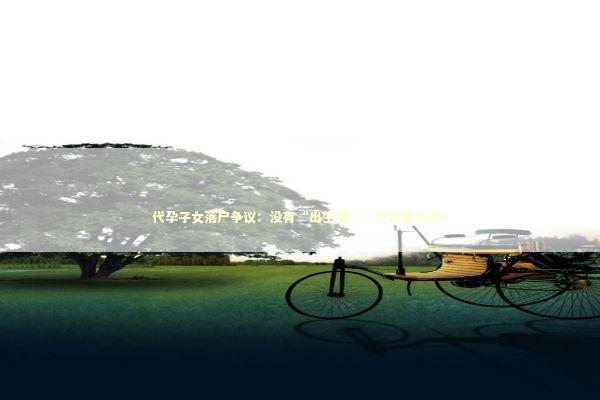 代孕子女落户争议:没有“出生证”,户口怎么落? 代孕子女落户争议:没有“出生证”,户口怎么落? 新闻